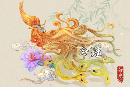 择吉老皇历|择吉皇历(最新版本)|老皇历农历