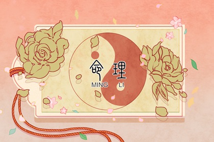 今日农历,2026年农历阳历,详细农历查询